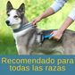 Peine corta nudos