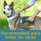 Peine quita nudos